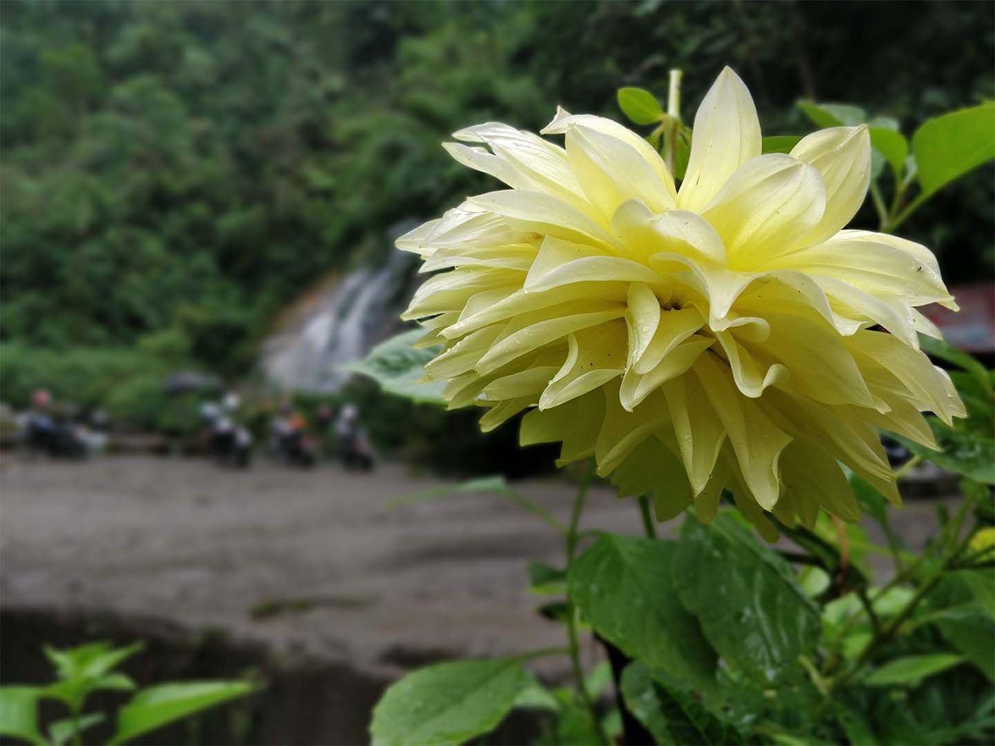 Motorcycle tour Bhutan