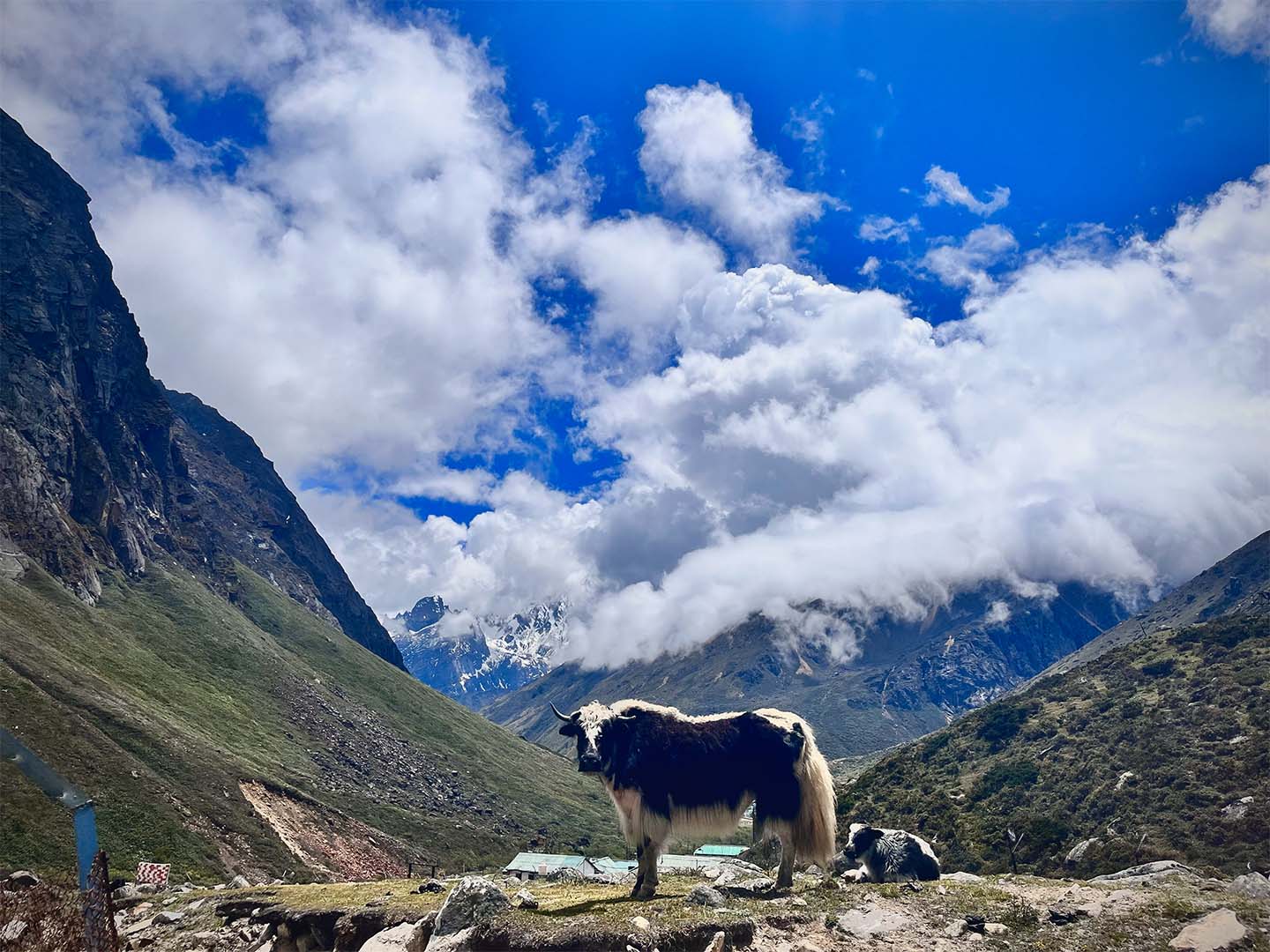 Motorcycle tour sikkim