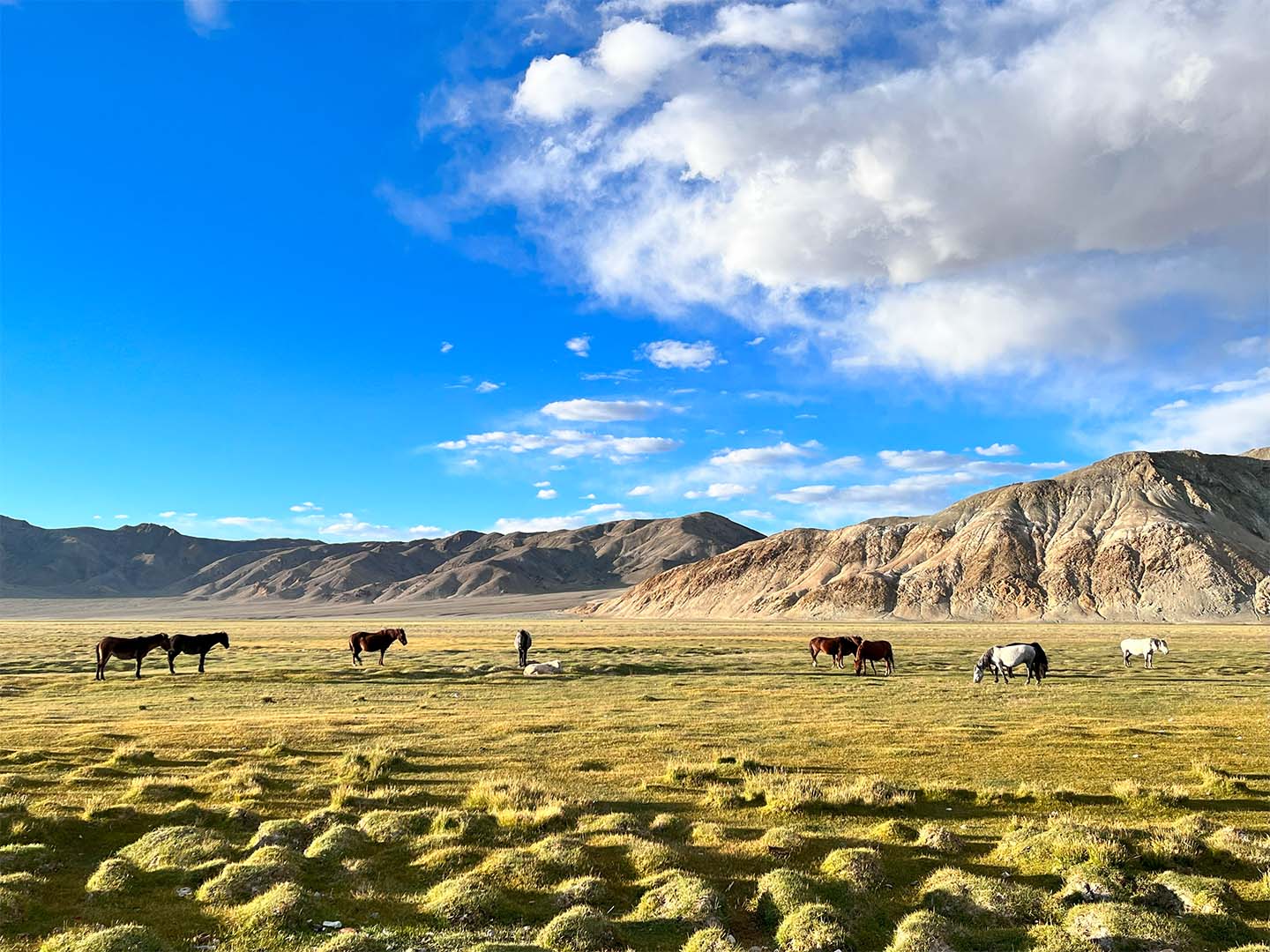 Motorcycle tour Ladakh